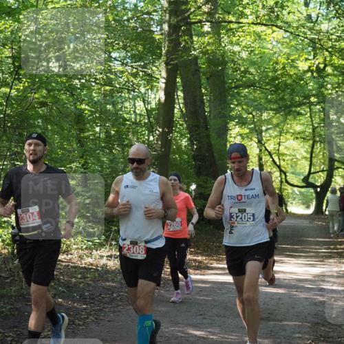 22.09.2024 - 32. Volkslauf durch das schöne Alstertal Miley Keyser http://msf.ph/oto/7135552 22.09.2024 10:46:48 Laufen 2304, 2308, 2260, 3205 meine-sportfotos.de