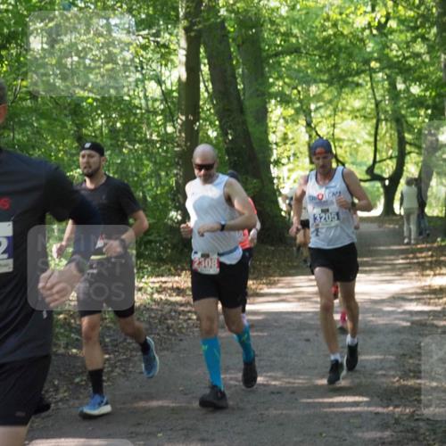 22.09.2024 - 32. Volkslauf durch das schöne Alstertal Miley Keyser http://msf.ph/oto/7135554 22.09.2024 10:46:47 Laufen 3132, 2308, 3205 meine-sportfotos.de