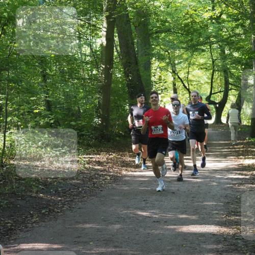 22.09.2024 - 32. Volkslauf durch das schöne Alstertal Miley Keyser http://msf.ph/oto/7135564 22.09.2024 10:46:45 Laufen 304, 3322, 3321, 313 meine-sportfotos.de