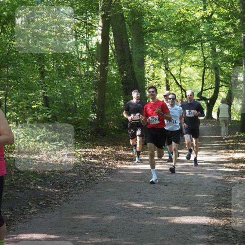 22.09.2024 - 32. Volkslauf durch das schöne Alstertal Miley Keyser http://msf.ph/oto/7135565 22.09.2024 10:46:45 Laufen 2976, 3322, 3521, 3132 meine-sportfotos.de