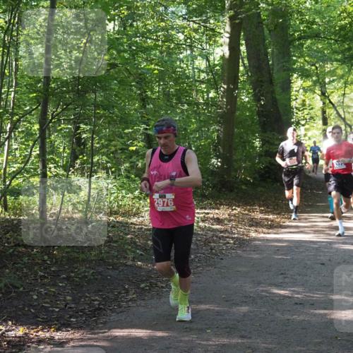 22.09.2024 - 32. Volkslauf durch das schöne Alstertal Miley Keyser http://msf.ph/oto/7135569 22.09.2024 10:46:44 Laufen 2976, 304 meine-sportfotos.de