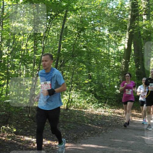 22.09.2024 - 32. Volkslauf durch das schöne Alstertal Miley Keyser http://msf.ph/oto/7135596 22.09.2024 10:46:33 Laufen 2049, 2196, 3328 meine-sportfotos.de