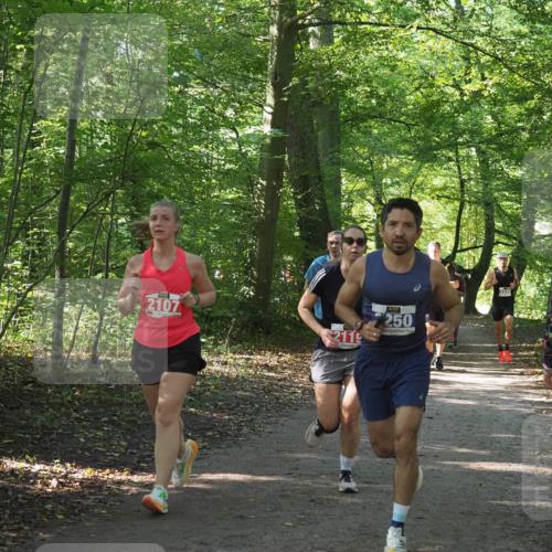 22.09.2024 - 32. Volkslauf durch das schöne Alstertal Miley Keyser http://msf.ph/oto/7135603 22.09.2024 10:46:30 Laufen 2107, 2119, 250, 3328 meine-sportfotos.de