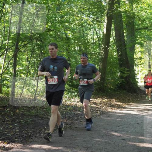 22.09.2024 - 32. Volkslauf durch das schöne Alstertal Miley Keyser http://msf.ph/oto/7135611 22.09.2024 10:46:24 Laufen 2038, 2451, 324 meine-sportfotos.de