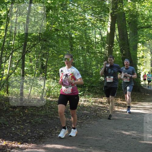 22.09.2024 - 32. Volkslauf durch das schöne Alstertal Miley Keyser http://msf.ph/oto/7135618 22.09.2024 10:46:22 Laufen 2286, 2038, 2451 meine-sportfotos.de