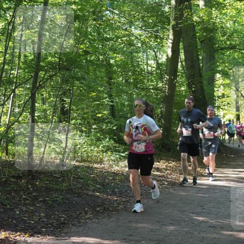 22.09.2024 - 32. Volkslauf durch das schöne Alstertal Miley Keyser http://msf.ph/oto/7135620 22.09.2024 10:46:22 Laufen 2286, 2038, 2451 meine-sportfotos.de