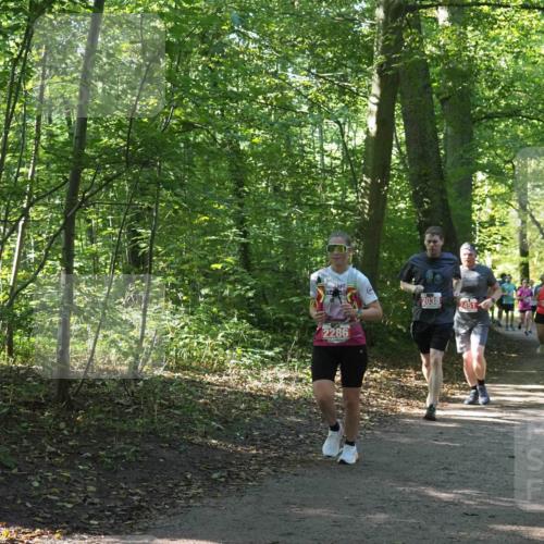 22.09.2024 - 32. Volkslauf durch das schöne Alstertal Miley Keyser http://msf.ph/oto/7135624 22.09.2024 10:46:22 Laufen 2286, 2038, 2451 meine-sportfotos.de