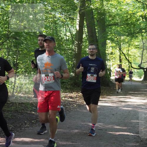 22.09.2024 - 32. Volkslauf durch das schöne Alstertal Miley Keyser http://msf.ph/oto/7135629 22.09.2024 10:46:17 Laufen 2349, 2081, 2364 meine-sportfotos.de