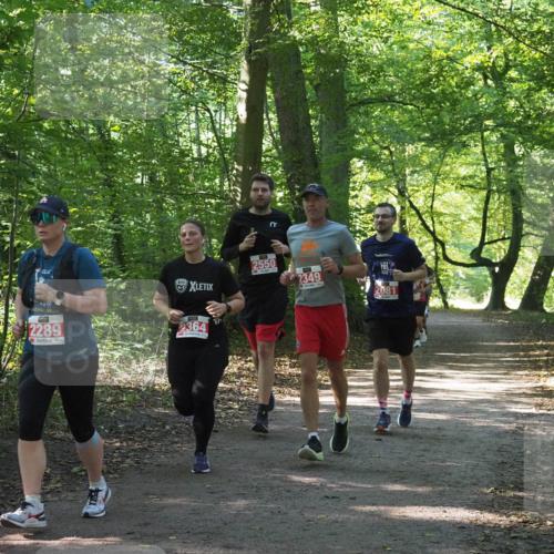 22.09.2024 - 32. Volkslauf durch das schöne Alstertal Miley Keyser http://msf.ph/oto/7135634 22.09.2024 10:46:16 Laufen 2022, 2289, 2364, 2550, 2349, 2081 meine-sportfotos.de
