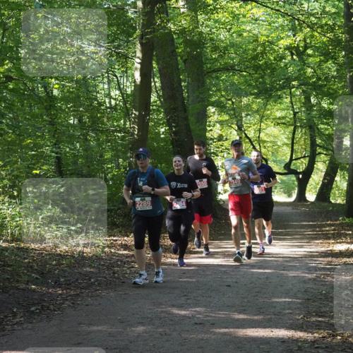 22.09.2024 - 32. Volkslauf durch das schöne Alstertal Miley Keyser http://msf.ph/oto/7135637 22.09.2024 10:46:15 Laufen 2289, 2550, 2349, 2081 meine-sportfotos.de