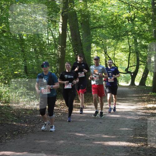 22.09.2024 - 32. Volkslauf durch das schöne Alstertal Miley Keyser http://msf.ph/oto/7135639 22.09.2024 10:46:15 Laufen 2550, 2349, 2081, 2364, 2289 meine-sportfotos.de