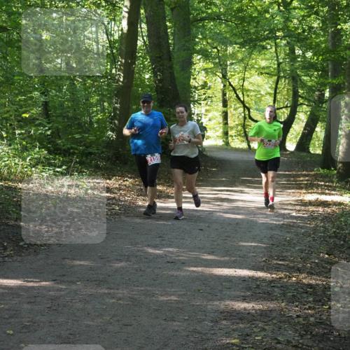 22.09.2024 - 32. Volkslauf durch das schöne Alstertal Miley Keyser http://msf.ph/oto/7135652 22.09.2024 10:46:00 Laufen 2159 meine-sportfotos.de