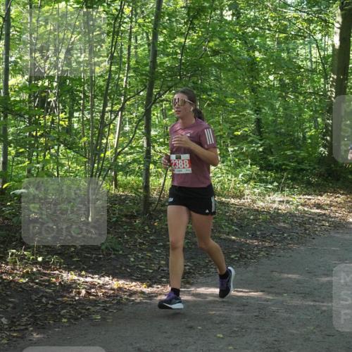 22.09.2024 - 32. Volkslauf durch das schöne Alstertal Miley Keyser http://msf.ph/oto/7135668 22.09.2024 10:45:52 Laufen 2388 meine-sportfotos.de