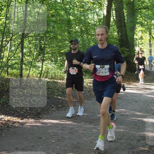 22.09.2024 - 32. Volkslauf durch das schöne Alstertal Miley Keyser http://msf.ph/oto/7135678 22.09.2024 10:45:50 Laufen 2053, 3066 meine-sportfotos.de