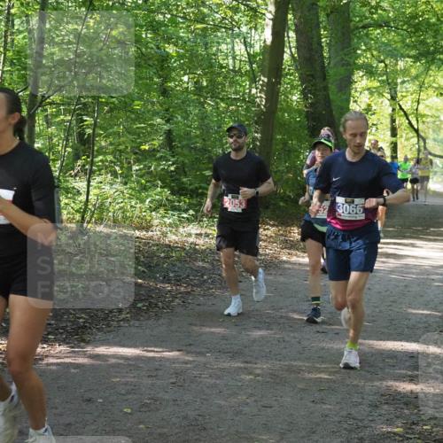 22.09.2024 - 32. Volkslauf durch das schöne Alstertal Miley Keyser http://msf.ph/oto/7135683 22.09.2024 10:45:50 Laufen 220, 2053, 52, 3066 meine-sportfotos.de
