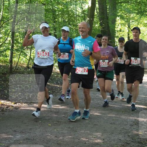 22.09.2024 - 32. Volkslauf durch das schöne Alstertal Miley Keyser http://msf.ph/oto/7135709 22.09.2024 10:45:32 Laufen 2543, 2185, 2967, 2048, 2949, 2948 meine-sportfotos.de