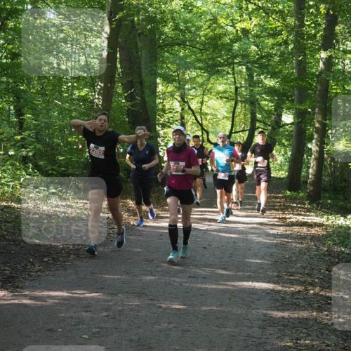 22.09.2024 - 32. Volkslauf durch das schöne Alstertal Miley Keyser http://msf.ph/oto/7135727 22.09.2024 10:45:29 Laufen 2202, 2967 meine-sportfotos.de