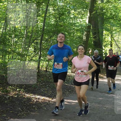 22.09.2024 - 32. Volkslauf durch das schöne Alstertal Miley Keyser http://msf.ph/oto/7135743 22.09.2024 10:45:23 Laufen 2027 meine-sportfotos.de