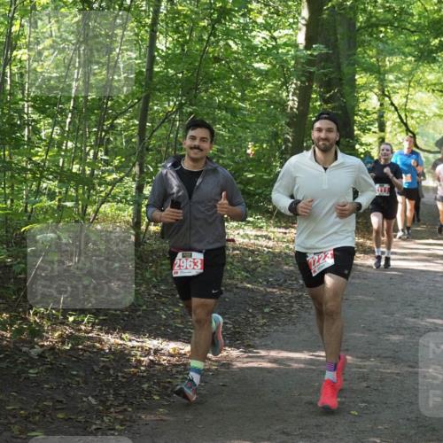 22.09.2024 - 32. Volkslauf durch das schöne Alstertal Miley Keyser http://msf.ph/oto/7135747 22.09.2024 10:45:18 Laufen 2963, 2223, 111 meine-sportfotos.de