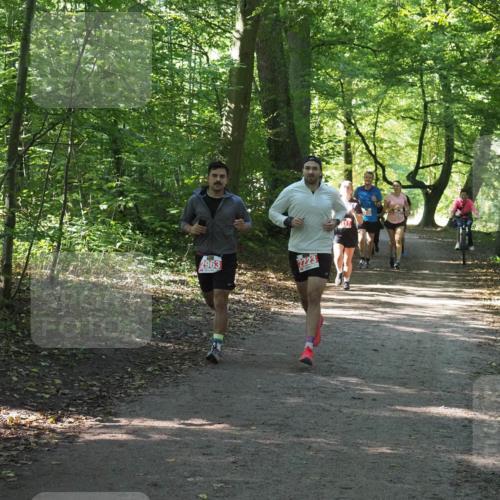 22.09.2024 - 32. Volkslauf durch das schöne Alstertal Miley Keyser http://msf.ph/oto/7135754 22.09.2024 10:45:17 Laufen 2963, 2223 meine-sportfotos.de