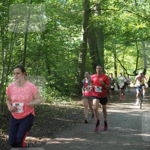 22.09.2024 - 32. Volkslauf durch das schöne Alstertal Miley Keyser http://msf.ph/oto/7135761 22.09.2024 10:45:12 Laufen 99, 3942 meine-sportfotos.de