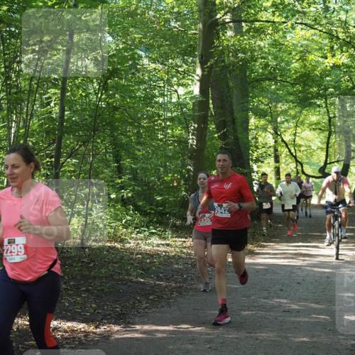 22.09.2024 - 32. Volkslauf durch das schöne Alstertal Miley Keyser http://msf.ph/oto/7135762 22.09.2024 10:45:12 Laufen 2299, 2338, 3942 meine-sportfotos.de