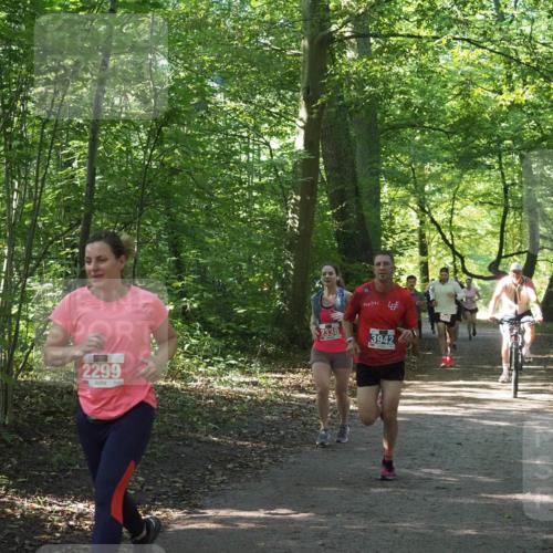 22.09.2024 - 32. Volkslauf durch das schöne Alstertal Miley Keyser http://msf.ph/oto/7135764 22.09.2024 10:45:12 Laufen 2299, 2338, 3942 meine-sportfotos.de