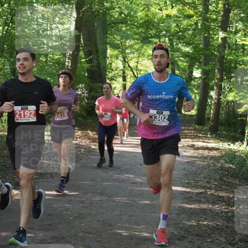 22.09.2024 - 32. Volkslauf durch das schöne Alstertal Miley Keyser http://msf.ph/oto/7135770 22.09.2024 10:45:10 Laufen 2191, 2192, 2416, 299, 3302 meine-sportfotos.de