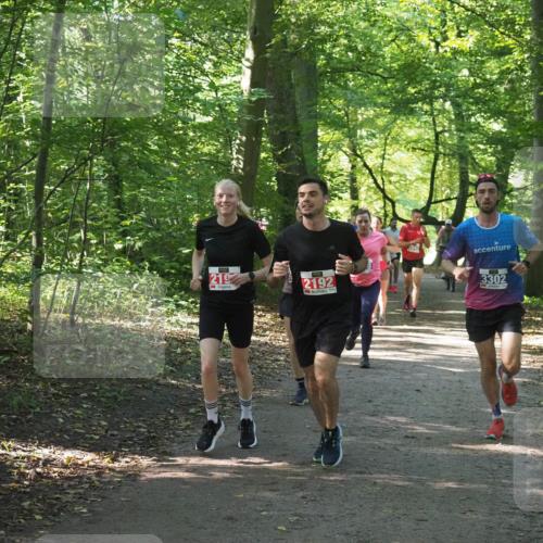 22.09.2024 - 32. Volkslauf durch das schöne Alstertal Miley Keyser http://msf.ph/oto/7135772 22.09.2024 10:45:09 Laufen 219, 2192, 3302 meine-sportfotos.de