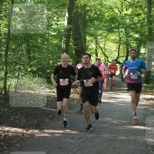 22.09.2024 - 32. Volkslauf durch das schöne Alstertal Miley Keyser http://msf.ph/oto/7135773 22.09.2024 10:45:09 Laufen 2191, 2192, 1942, 3302 meine-sportfotos.de