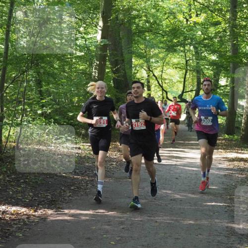22.09.2024 - 32. Volkslauf durch das schöne Alstertal Miley Keyser http://msf.ph/oto/7135779 22.09.2024 10:45:09 Laufen 191, 2192, 3302 meine-sportfotos.de
