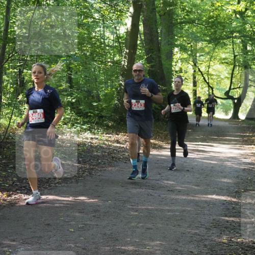 22.09.2024 - 32. Volkslauf durch das schöne Alstertal Miley Keyser http://msf.ph/oto/7135809 22.09.2024 10:44:52 Laufen 2460, 2343, 2250 meine-sportfotos.de