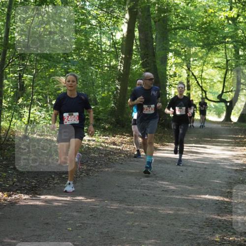 22.09.2024 - 32. Volkslauf durch das schöne Alstertal Miley Keyser http://msf.ph/oto/7135810 22.09.2024 10:44:51 Laufen 2460, 2343 meine-sportfotos.de