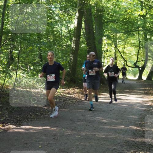 22.09.2024 - 32. Volkslauf durch das schöne Alstertal Miley Keyser http://msf.ph/oto/7135811 22.09.2024 10:44:51 Laufen 2460, 2343 meine-sportfotos.de