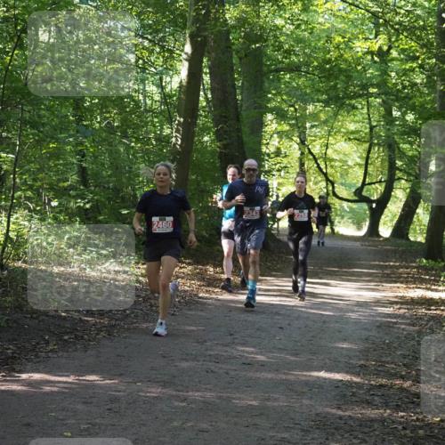 22.09.2024 - 32. Volkslauf durch das schöne Alstertal Miley Keyser http://msf.ph/oto/7135814 22.09.2024 10:44:51 Laufen 2460, 2343, 2258 meine-sportfotos.de