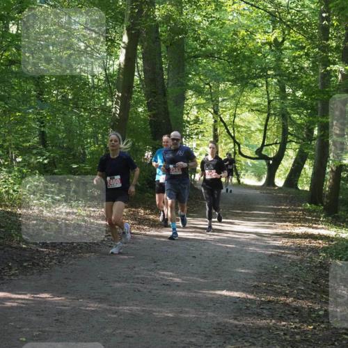 22.09.2024 - 32. Volkslauf durch das schöne Alstertal Miley Keyser http://msf.ph/oto/7135816 22.09.2024 10:44:50 Laufen 2460 meine-sportfotos.de