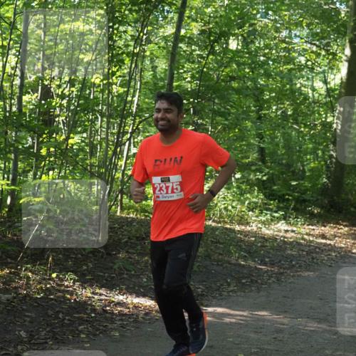22.09.2024 - 32. Volkslauf durch das schöne Alstertal Miley Keyser http://msf.ph/oto/7135817 22.09.2024 10:44:49 Laufen 2375 meine-sportfotos.de