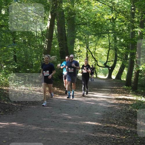 22.09.2024 - 32. Volkslauf durch das schöne Alstertal Miley Keyser http://msf.ph/oto/7135818 22.09.2024 10:44:50 Laufen 2343, 2460 meine-sportfotos.de