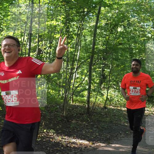 22.09.2024 - 32. Volkslauf durch das schöne Alstertal Miley Keyser http://msf.ph/oto/7135823 22.09.2024 10:44:49 Laufen 2056, 2375 meine-sportfotos.de