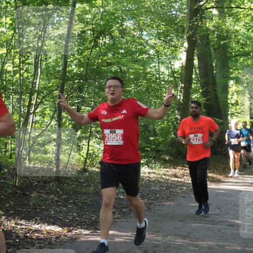 22.09.2024 - 32. Volkslauf durch das schöne Alstertal Miley Keyser http://msf.ph/oto/7135828 22.09.2024 10:44:48 Laufen 2056, 2375 meine-sportfotos.de