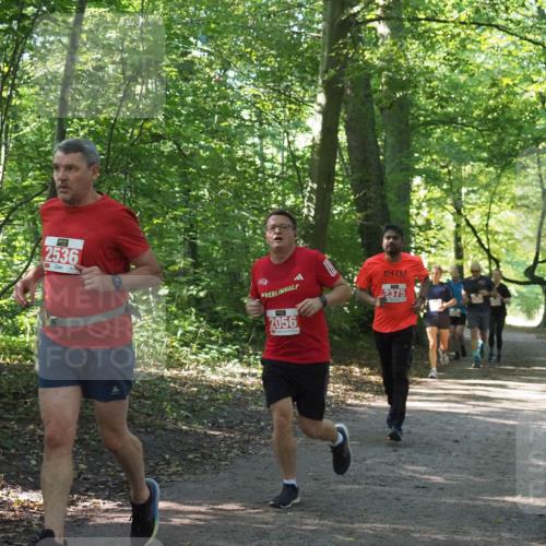 22.09.2024 - 32. Volkslauf durch das schöne Alstertal Miley Keyser http://msf.ph/oto/7135831 22.09.2024 10:44:47 Laufen 2536, 2056, 2375 meine-sportfotos.de