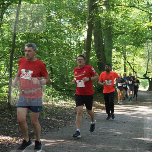 22.09.2024 - 32. Volkslauf durch das schöne Alstertal Miley Keyser http://msf.ph/oto/7135832 22.09.2024 10:44:47 Laufen 2536, 2056, 2375 meine-sportfotos.de