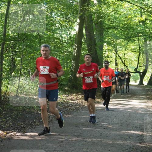 22.09.2024 - 32. Volkslauf durch das schöne Alstertal Miley Keyser http://msf.ph/oto/7135835 22.09.2024 10:44:47 Laufen 2536, 1, 2056, 2375 meine-sportfotos.de
