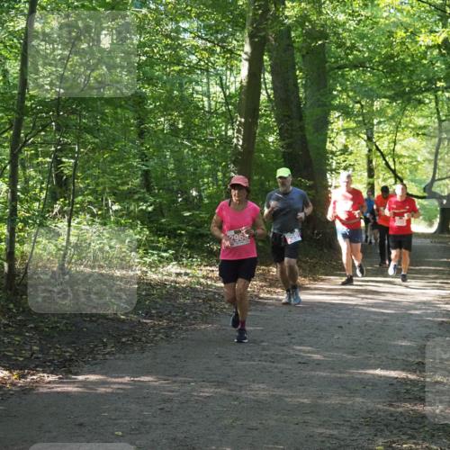 22.09.2024 - 32. Volkslauf durch das schöne Alstertal Miley Keyser http://msf.ph/oto/7135836 22.09.2024 10:44:43 Laufen  meine-sportfotos.de