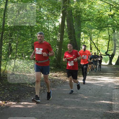 22.09.2024 - 32. Volkslauf durch das schöne Alstertal Miley Keyser http://msf.ph/oto/7135838 22.09.2024 10:44:46 Laufen 2536, 375, 2056 meine-sportfotos.de