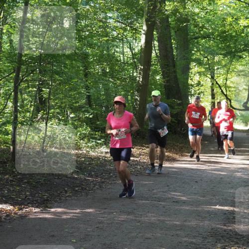 22.09.2024 - 32. Volkslauf durch das schöne Alstertal Miley Keyser http://msf.ph/oto/7135840 22.09.2024 10:44:43 Laufen 68, 256, 2536 meine-sportfotos.de
