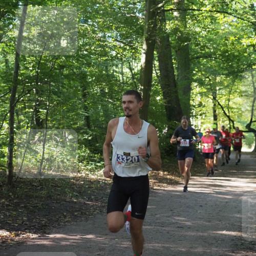 22.09.2024 - 32. Volkslauf durch das schöne Alstertal Miley Keyser http://msf.ph/oto/7135846 22.09.2024 10:44:40 Laufen 3320, 2519 meine-sportfotos.de