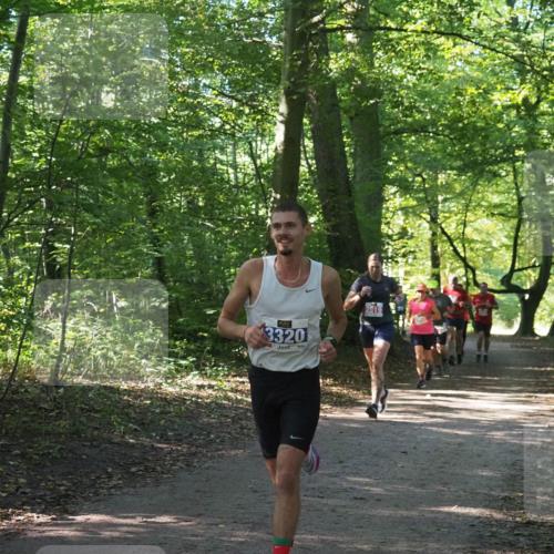 22.09.2024 - 32. Volkslauf durch das schöne Alstertal Miley Keyser http://msf.ph/oto/7135847 22.09.2024 10:44:39 Laufen 3320, 2519 meine-sportfotos.de