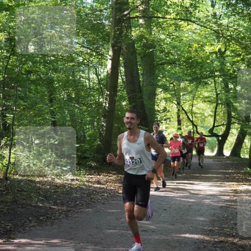 22.09.2024 - 32. Volkslauf durch das schöne Alstertal Miley Keyser http://msf.ph/oto/7135848 22.09.2024 10:44:39 Laufen 3320 meine-sportfotos.de