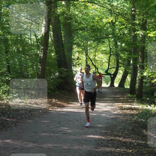 22.09.2024 - 32. Volkslauf durch das schöne Alstertal Miley Keyser http://msf.ph/oto/7135852 22.09.2024 10:44:38 Laufen 3320 meine-sportfotos.de